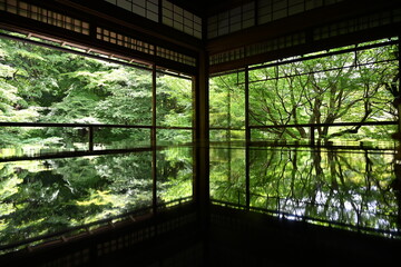 Fototapeta premium 瑠璃光院