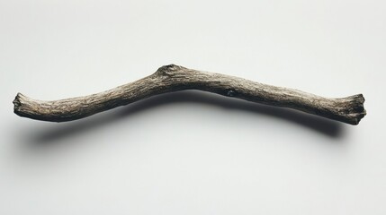 Obraz premium Grey Textured Twig on White Background