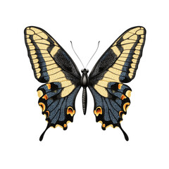Detailed Illustration of a Two-Tailed Swallowtail Butterfly