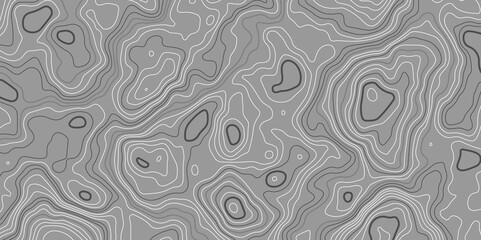 Topography background. Vector banner. Topography background.Topographic map lines, contour background.Vector geographic contour map. Background of the topographic map.
