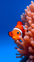 tropical fish in aquarium