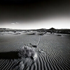 Timeless Black White Desert