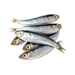 Fresh Silver Sardines Pile Isolated on Transparent background