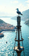 The seagull perches atop a tall mast overlooking the sparkling waters of Villefranche-sur-Mer, France, coastline