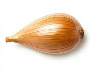 Fresh and healthy onion on white background.