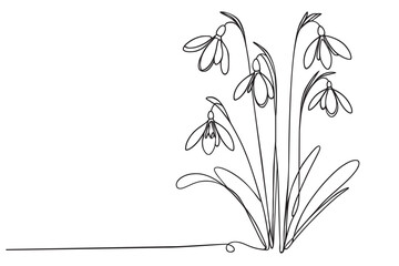 Continuous one line drawing Snowdrop flower line art vector illustration. Hand drawn black paint sketch isolated on white.