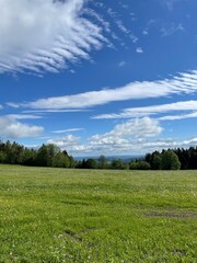 green field and blue sky