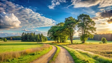 Obraz premium Panoramic view of a vast open field with tall trees and a winding dirt path leading into the distance, countryside, natural