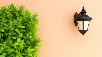 Green Foliage and Black Lantern on Peach Wall