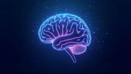 "A conceptual image of a human brain formed by a dense network of glowing neural connections, symbolizing intelligence, deep learning, and cognitive processing on a futuristic blue background."
