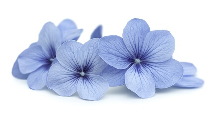 Obraz premium Surreal Blue Flowers in Minimalist Composition, Evoking Tranquility and Natural Elegance