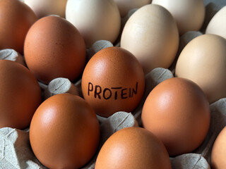 White and brown eggs in paper carton with a word protein written on one