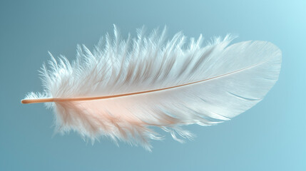 Obraz premium Featherlight: Macro White Feather on White