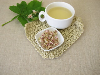 Fresh chestnut flower tea from dried horse chestnut flowers