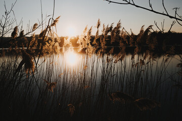 Fototapeta premium Stimmungsvolle Naturmomente am Breitenauer See bei Sonnenuntergang