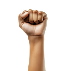 Raised fist symbolizing strength and unity