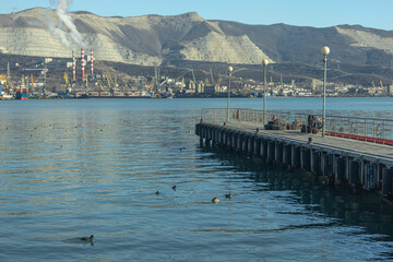 Ducks swim near the sea pier. View of the pier and the port with cranes and sea vessels. In the distance, near the mountains, port cranes are visible. Port infrastructure.