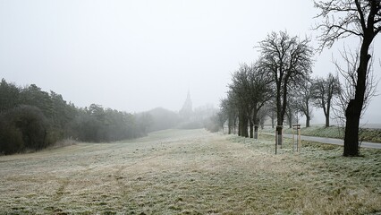 Frosty field. Bare trees. Winter landscape. Morning fog.

