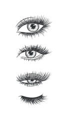 Eyes and eyelash collection drawing in graphic art style on white background