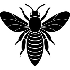 Honeybee Silhouette Gracefully Resting on White Background