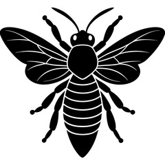 Honeybee Silhouette Gracefully Resting on White Background
