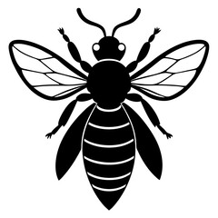Honeybee Silhouette Gracefully Resting on White Background