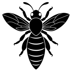 Honeybee Silhouette Gracefully Resting on White Background