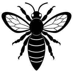 Honeybee Silhouette Gracefully Resting on White Background