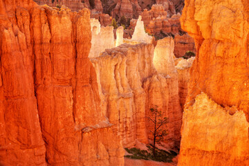 Amazing colorful rock formations in Bryce Canyon in USA