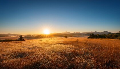Fototapeta premium sunset in the field
