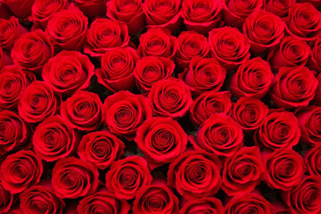 Dense, arrangement, red, roses, close, up, view