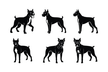 Boxer dog silhouettes in different poses isolated on white