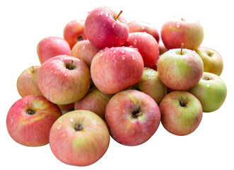 Fresh red apples covered in raindrops isolated on a transparent background. Autumn fruit harvest