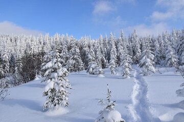The snow-covered mountain top after the storm, Québec, Canada