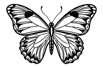 Silhouette of butterfly isolated on a white background
