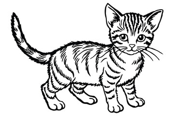 Fototapeta premium Silhouette of kitten isolated on a white background