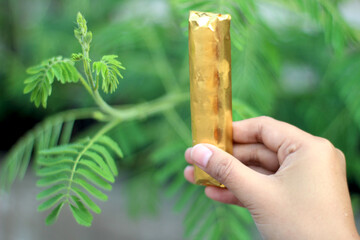 Hand Holding Chocolate Bar