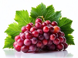 Fototapeta premium Silhouette of Red Grapes with Leaves on White Background - Stock Photo