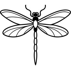Elegant Dragonfly Illustration in Minimalist Black and White Design