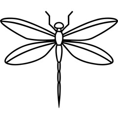 Elegant Dragonfly Illustration in Minimalist Black and White Design