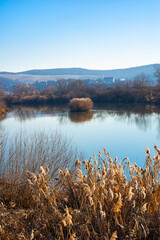 Scenic view of calm water of the river Mures near Curteni in Transylvania, central Romania