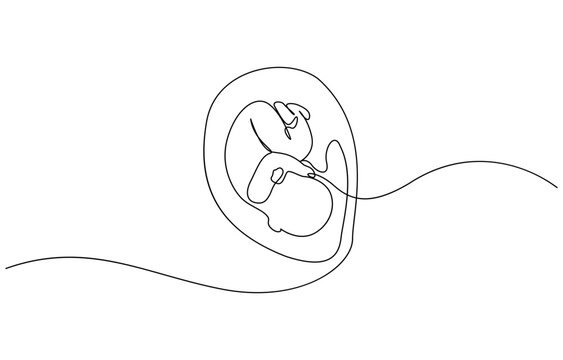recommend clip art: Baby embryo in womb, fetus one art line continuous drawing, Continuous line of fetus in womb.one line drawing of baby fetus in mother's stomach in gestational age.
