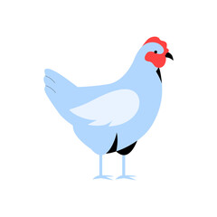 Blue Chicken In Flat Vector Illustration Symbolizing Poultry Farming, Livestock, And Agriculture, Isolated On White Background