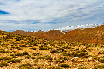 Steep slopes of the  Atlas mountains overgrown with thorny shrubs of spiky astragalus. High Atlas, Morocco