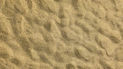Sand background with natural relief patterns created by the wind. Golden sea sand texture, coarse-grained surface.