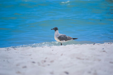 Fotos feitas em Key West