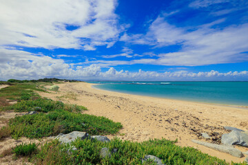 A serene beach with golden sands and blue waters in South Africa by day
