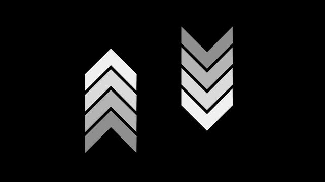 Arrow down and Up direction combo icon animation, Animated Up and down arrow icon pointing, Abstract beautiful arrow concept