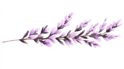 Delicate Hand-painted Lavender Stem in Soft Purple Watercolor