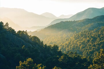 Fototapeta premium Mountain, Greece, with emerald shining sea and thick pine forest.
